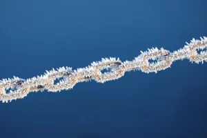 chain-6881337_1280.webp